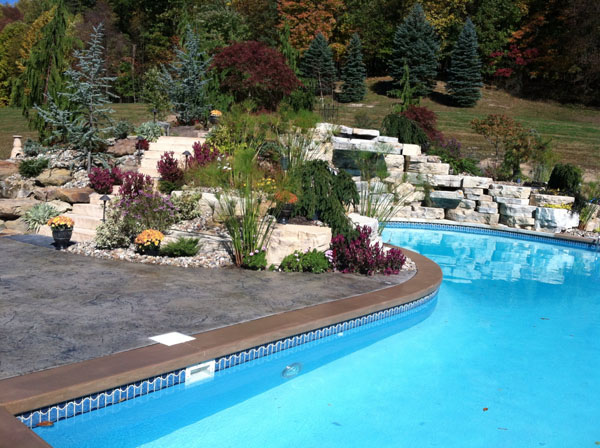 Concrete Stained Coping Around Pool